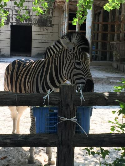 愛知県知多郡に住むコギ友に会いに行こう♪vol.2