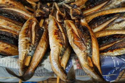 京都から小浜の鯖街道を行ったり来たり旅（二日目）～京極、酒井と続く小浜藩は若狭の雄。日本海の海の幸にも恵まれて、何かとほどよい豊かさを感じます～
