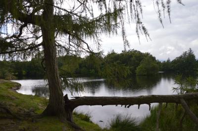 ピーターラビットのふるさと湖水地方とコーンウォールへ①