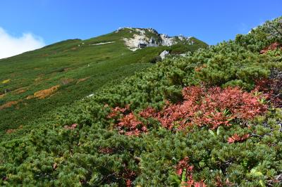 紅葉も！秋晴れに輝く空木岳　駒石にも登って♪　池山尾根