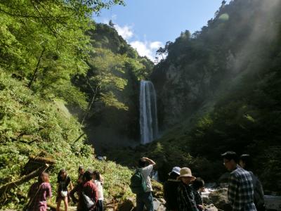 2015秋 乗鞍２：鍋平高原自然散策道とスッポンパワーと平湯大滝