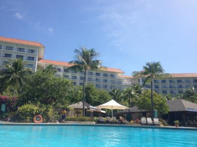 ジンベイザメと泳ぎたくて