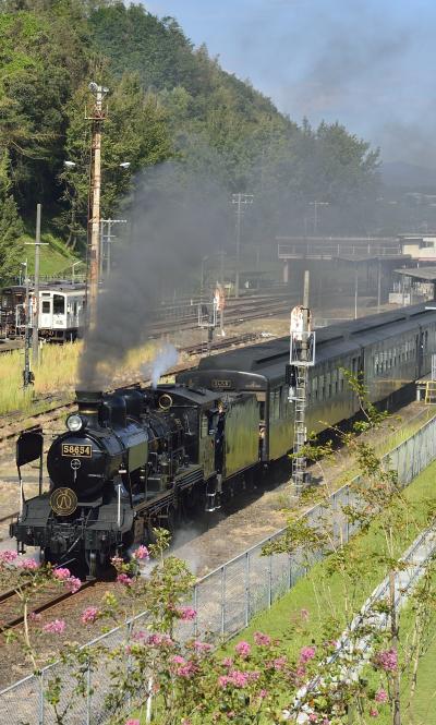 台風15号による崩落で運休し、25日ぶりに再開したＳＬ人吉。ハチロクを人吉鉄道ミュージアム MOZOCAステーション868の3階のテラスからお出迎え！d=(^o^)=b