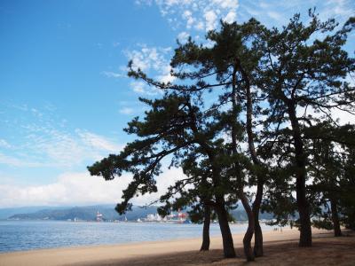 久しぶりの福井旅♪ソースかつ丼と気比の松原　日本海さかな街でおいしいお魚を食べましょう