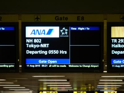 NH　シンガポール→成田　B777-300ER　ビジネスクラス　搭乗記