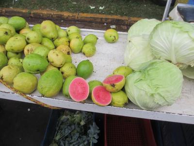 フェイラに行って欲しいものを手に入れて、帰りにエライものを見てしまった・・・