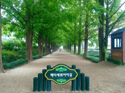 シルバーウィーク③海南(ヘナム)・大興寺~潭陽(タミャン)