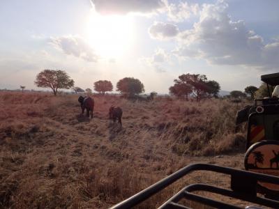 *Don't forget タンザニア*<アフリカ大陸初上陸!!>