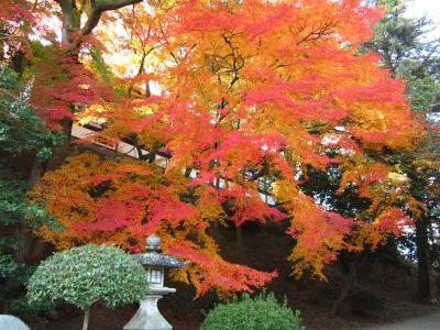 四国香川県に初上陸！～高松・琴平～