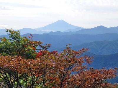 奥多摩・鷹ノ巣山と富士山