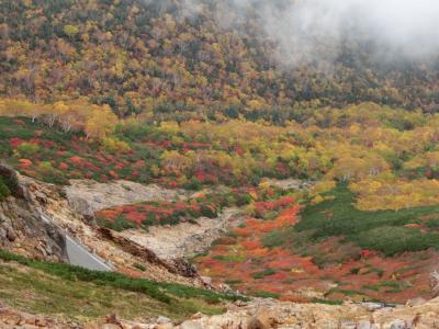 今年初めての紅葉はきれいだった！　乗鞍岳登山