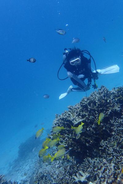 2015年7月：台風３つに囲まれて…Okinawa!!(Day ２：ダイビング編）