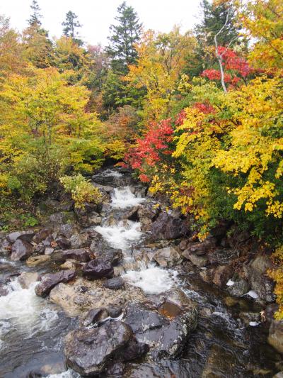 八甲田紅葉・弘前の旅