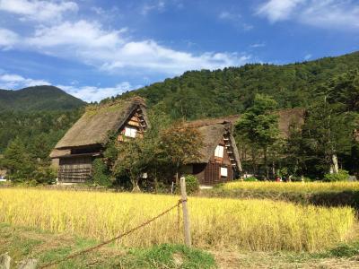 飛騨高山～金沢～白川郷～上高地　弾丸詰込旅行　③白川郷編