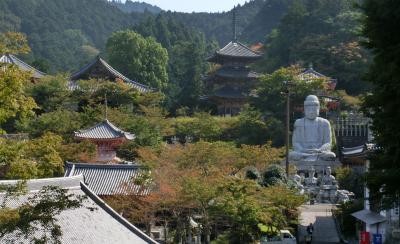 楽しい壷阪寺と　美しい高取城址