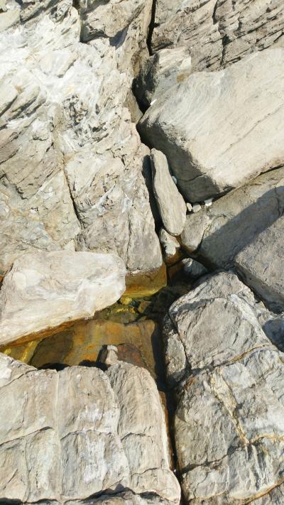 雄島で幻の水？