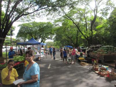 フェイラで日本人先輩移民との会話！
