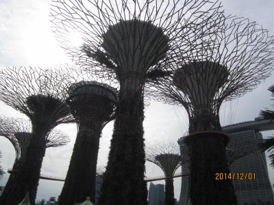 シンガポール植物園