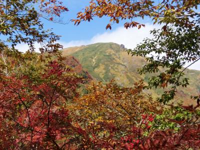 今年二度目の紅葉もきれいだった！　谷川岳登山！