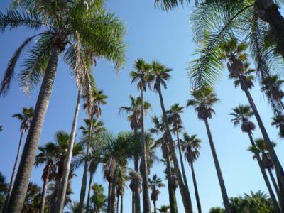 初めての鹿児島、宮崎訪問（２）