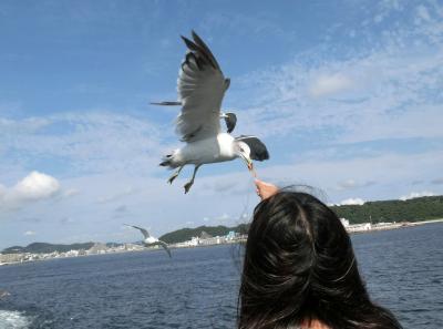 南房総【1】海鮮丼と、ちょっぴり八犬伝ゆかりの地（チャリで行こう～1）