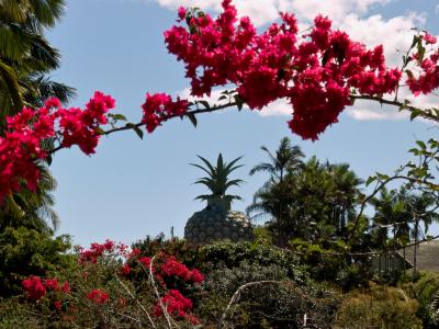 別冊：クィーンズランド動物園 at the Big Pineapple 