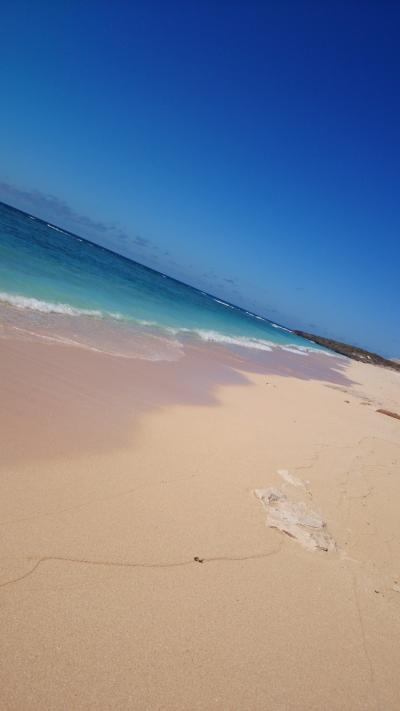 波照間島～竹富島～石垣島の旅♪