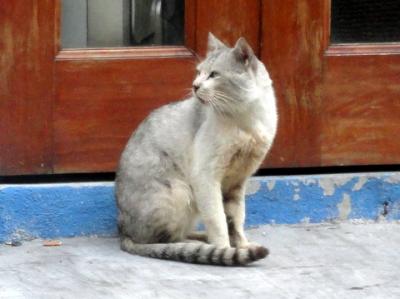 老後移住してみたい街クアラルンプール③