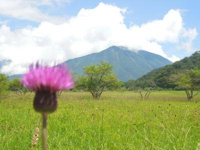 夏の奥日光ハイキング－赤沼～野アザミとホザキシモツケの綺麗な小田代ケ原～西ノ湖－