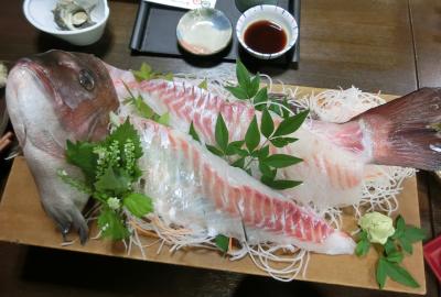 南房総【2】誘われるままにフラフラと林道を。楽し(チャリで行こう~1)