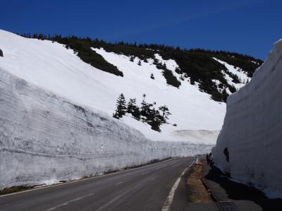 初夏の岩手滝めぐり（３）　雪の回廊と八幡平アスピーテラインドライブ