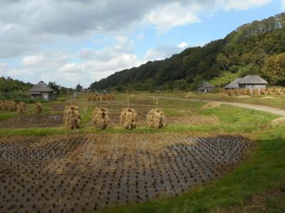 ２０１５秋・山形県ドライブ旅１日目～庄内編～