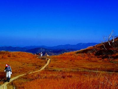 真っ白な湯治湯-紅葉真っ盛りの栗駒高原リハビリ・ウォーキング