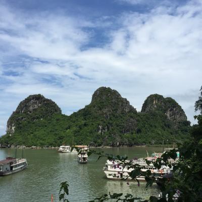 ハロン湾クルーズ！