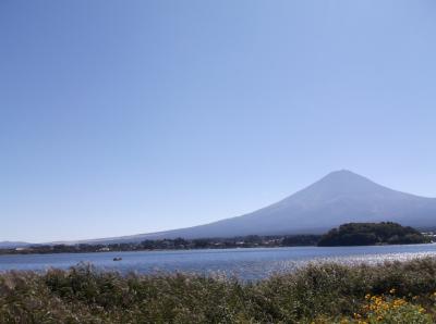 雪のない富士山を見に行って来ました。