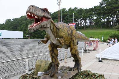 2015.8月　大洗水族館