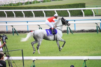 京都競馬場でGI観戦!!　天皇賞（春）2015