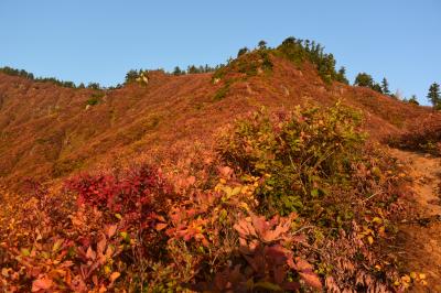 燃えるような山肌だった　紅葉の平ヶ岳♪　鷹ノ巣登山口から