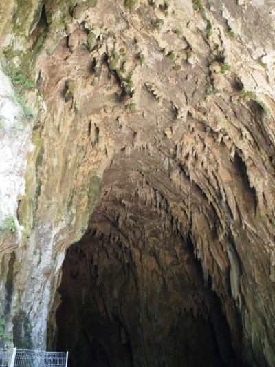 世界遺産シュコツィアン洞窟へ