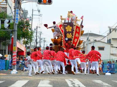 たどり着いた、この熱さ【泉南だんじり】