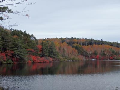 北八ヶ岳★白駒池の紅葉