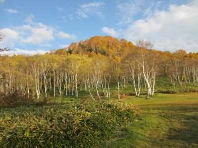 おいしいお米と紅葉を求めて - 飯山・志賀高原・万座温泉編 -