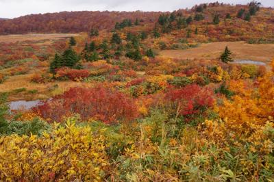 今度こそ、紅葉登山！のはずが。＠栗駒山