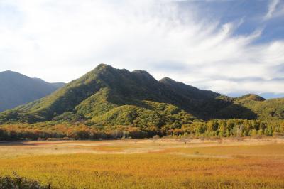 小田代が原の草紅葉