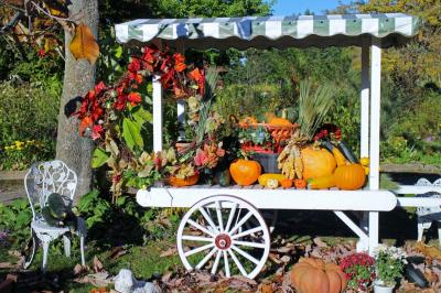 十勝アソビ☆美味しいモノと紅葉と温泉三昧の秋の休日♪vol.１