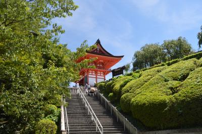 息子とふたり旅～京都清水寺と甲子園を巡る旅①～