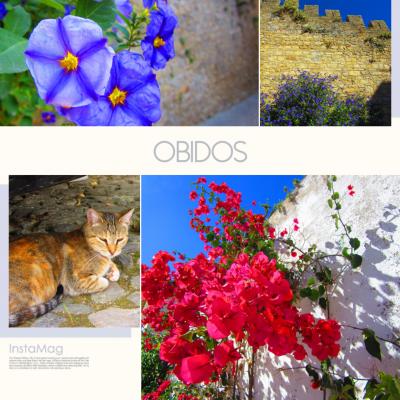 6 ポルトガルに魅せられて☆NOSTALGICオビドス編☆