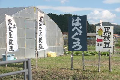 2015年10月　篠山市　「丹波の黒豆（波部黒）」を買う