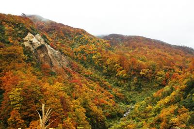 紅葉と山形ラーメンの旅