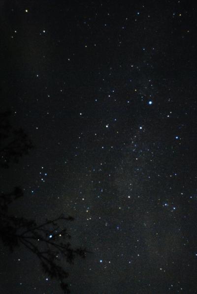 日本の秋、星＆花への誘い